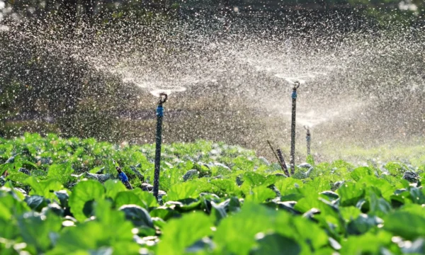 avyaan-sprinkler-irrigation-system-002