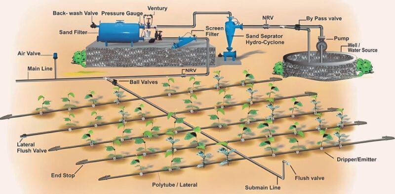 Drip Irrigation System - Avyaan Irrigation Systems